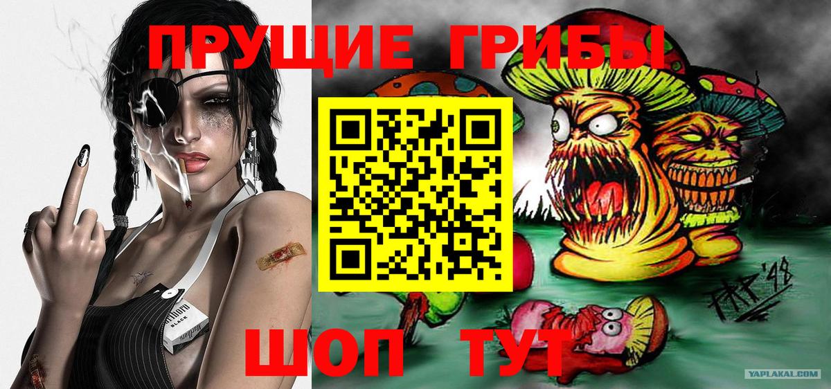 Псилоцибиновые грибы Magic Shrooms  Вход с VPN  Железногорск  Галлюциногенные грибы Magic Shrooms 