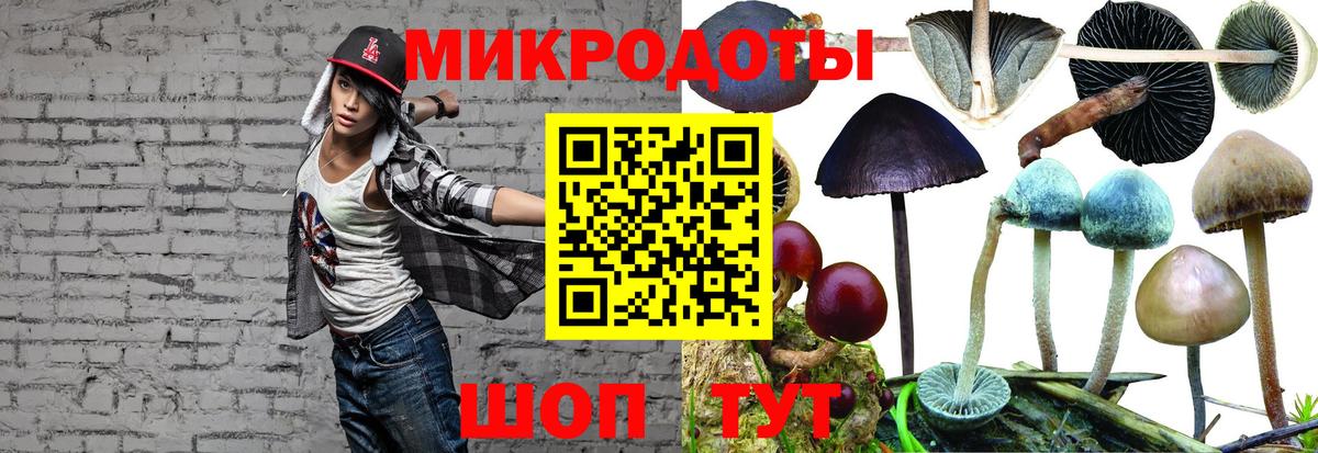 Галлюциногенные грибы MAGIC MUSHROOMS Железногорск
